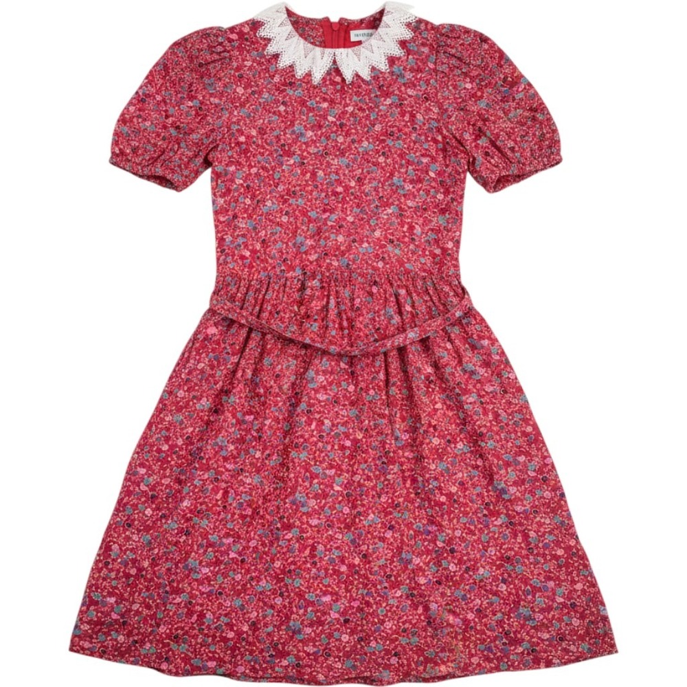 Vintage Belle France Prairie Dress Red Floral Lace Collar Puff Sleeve‎ Midi